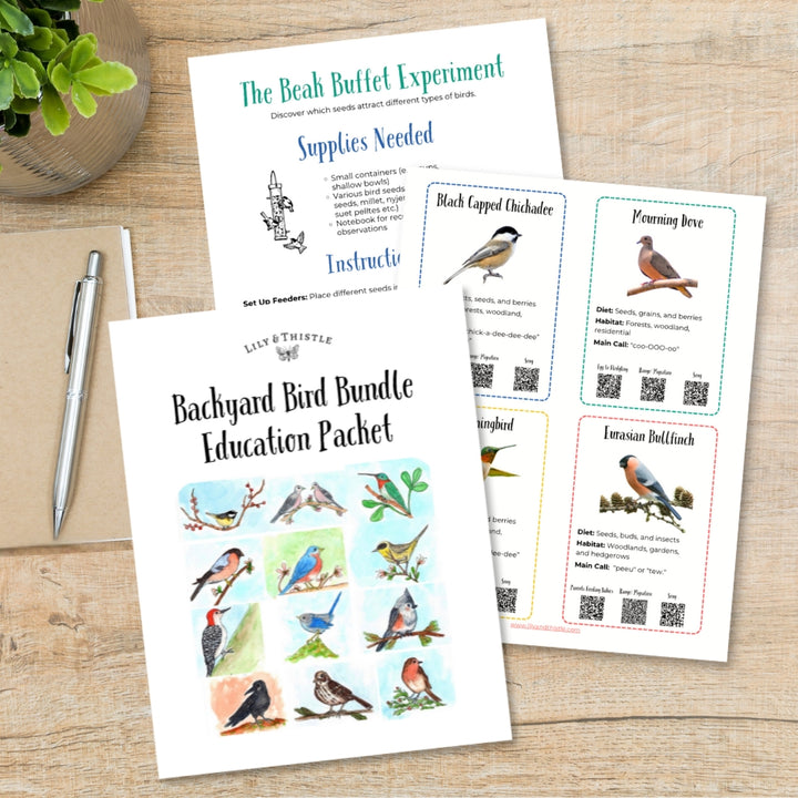 Backyard Bird Educational Packet